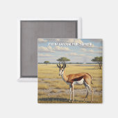 Springbok Etosha National Park Namibia Travel マグネット (正面/裏面)