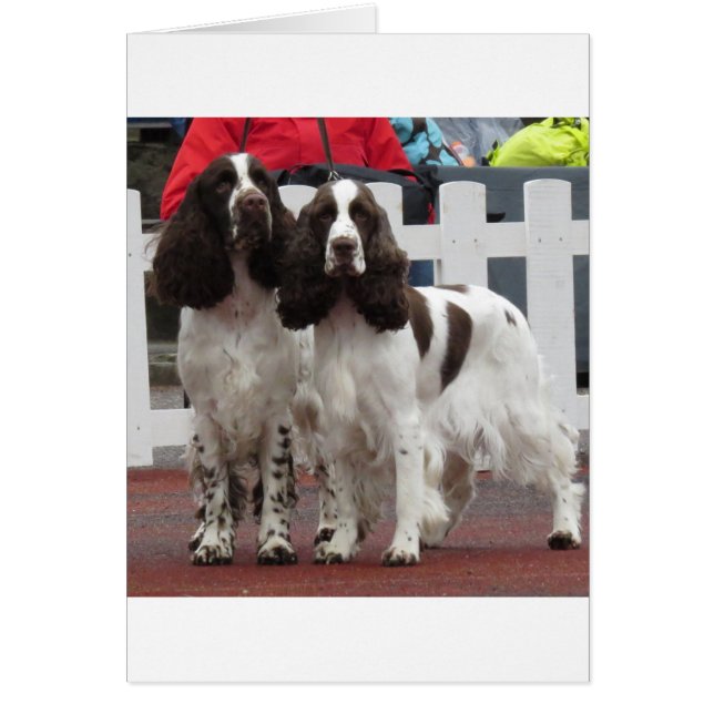 Springer_Pair長 (正面)