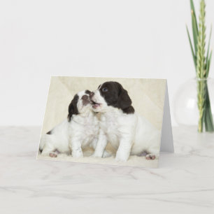 Springer Puppy Friends カード