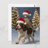 Springer Spaniel and Partridge Christmas postcard ポストカード (正面/裏面)