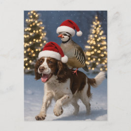 Springer Spaniel and Partridge Christmas postcard ポストカード
