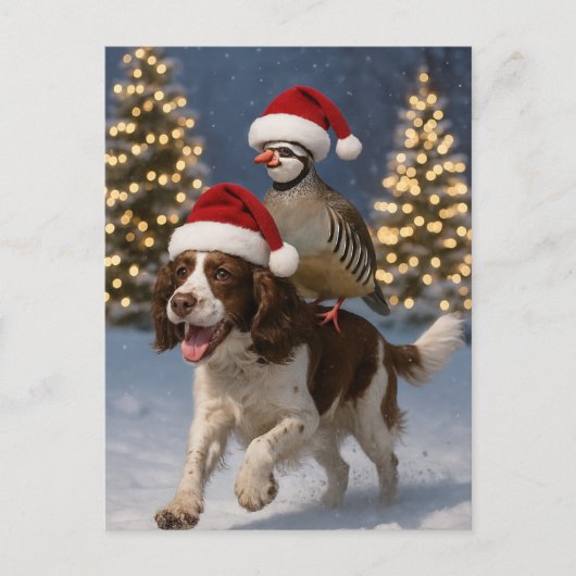 Springer Spaniel and Partridge Christmas postcard ポストカード (正面)