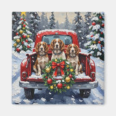 Springer Spaniel Christmas Red Truck Holiday マグネット (正面)