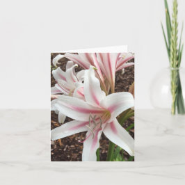 springtimeノートカード#2 カード