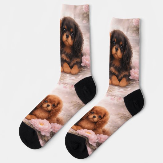 Springtime blossom Cavalier spaniel puppies ソックス (左)