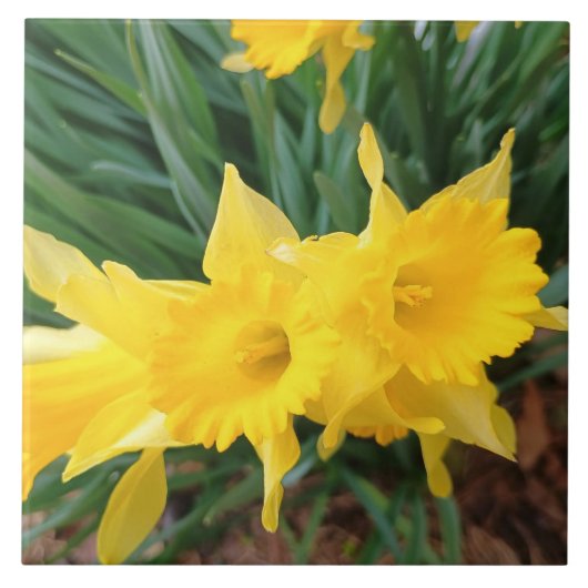 Springtime Flowers タイル (正面)