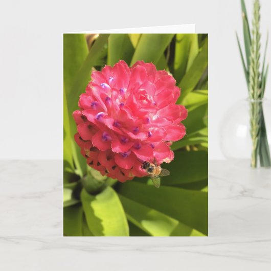 springtime greeting card #3 (内空白の部) カード (正面)