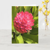 springtime greeting card #3 (内空白の部) カード (黄色い花)