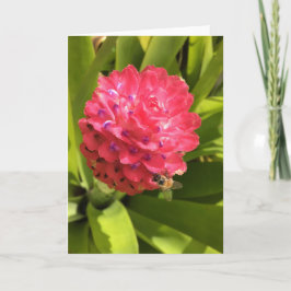 springtime greeting card #3 (内空白の部) カード