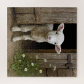 Springtime Lamb Standing In Barn Doorway ジグソーパズル (横)