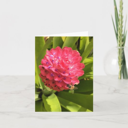 springtime notecard #3 (空白の内部) カード (正面)