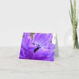Springtime Violet Anemoneノートカード サンキューカード