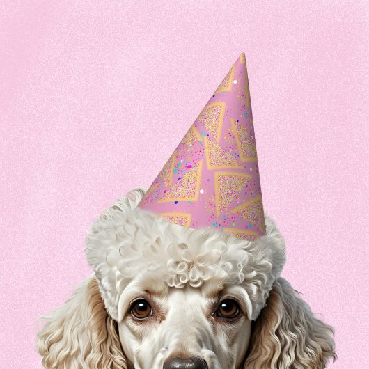 Sprinkle Ausieおもしろい、カラフル子供の誕生日 パーティーハット