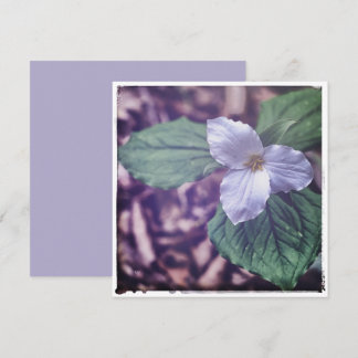 Sprint Trillium Autochrome Style ノートカード