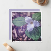 Sprint Trillium Autochrome Style ノートカード (正面/裏面インサイチュ)