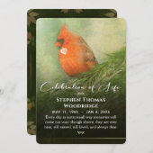 Spruceお祝いの（鳥）ショウジョウコウカンチョウLife 5x7 Invitat 招待状 (正面/裏面)