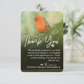 Spruce 3.5 x 5悔やみや弔慰サンキューカードの(鳥)ショウジョウコウカンチョウ (スタンド正面)