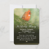 Spruce 3.5 x 5悔やみや弔慰サンキューカードの(鳥)ショウジョウコウカンチョウ (裏面)