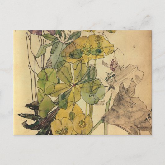 Spurge With Yham Flowers Charles Rennie Mackintosh ポストカード (正面)
