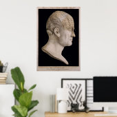 Spurzheim博士の技術図 ポスター (ホームオフィス)