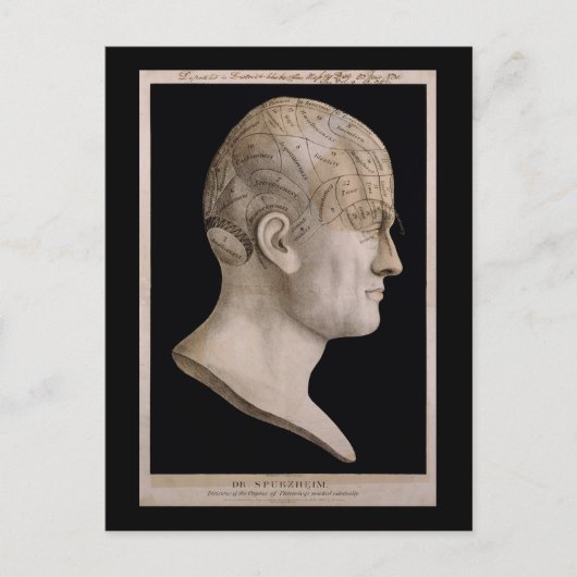Spurzheim博士の技術図 ポストカード (正面)