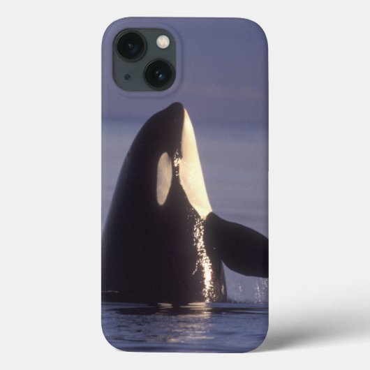 Spyhoppingのシャチのシャチ(シャチのorcinus)近く Case-Mate iPhoneケース (裏面)