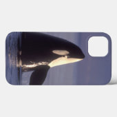 Spyhoppingのシャチのシャチ(シャチのorcinus)近く Case-Mate iPhoneケース (裏面 (横))