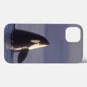 Spyhoppingのシャチのシャチ(シャチのorcinus)近く Case-Mate iPhoneケース (裏面 (横))