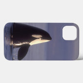 Spyhoppingのシャチのシャチ(シャチのorcinus)近く Case-Mate iPhoneケース (裏面 (横))