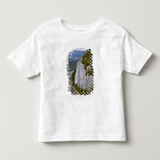 SquamishのArialの"主な"眺め トドラーTシャツ (正面)