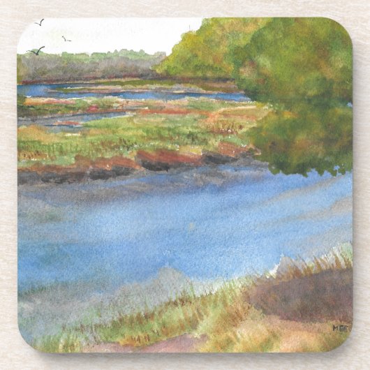 squamscott river at newfields 7月31日2015 コースター (正面)