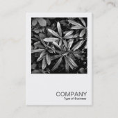 Square写真0132 - Rhododendron葉 名刺 (正面)