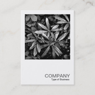 Square写真0132 - Rhododendron葉 名刺