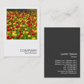 Square写真0317 – チューリップの海 名刺 (正面/裏面)