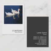 Square写真0474 - Emden Geese 名刺 (正面/裏面)