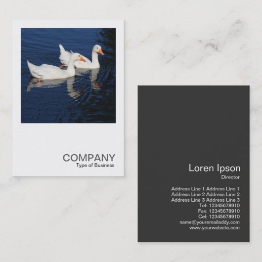 Square写真0474 - Emden Geese 名刺 (正面/裏面)