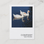 Square写真0474 - Emden Geese 名刺 (正面)