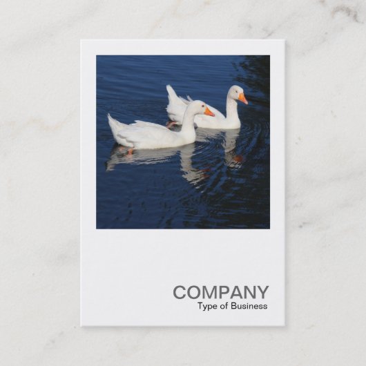Square写真0474 - Emden Geese 名刺 (正面)