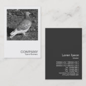 Square写真0550 - Pigeon BW 名刺 (正面/裏面)