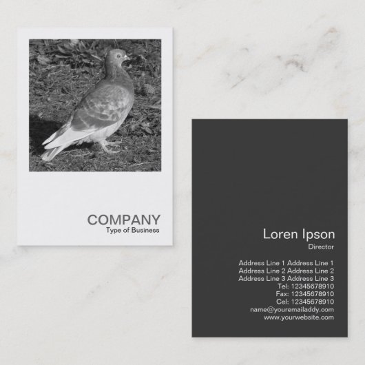 Square写真0550 - Pigeon BW 名刺 (正面/裏面)