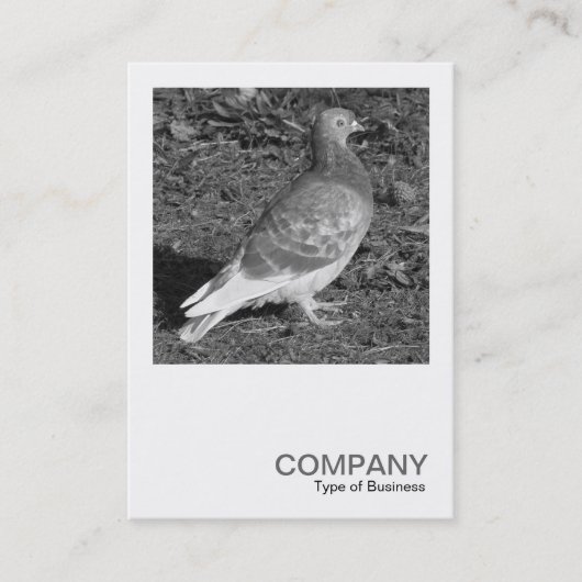 Square写真0550 - Pigeon BW 名刺 (正面)