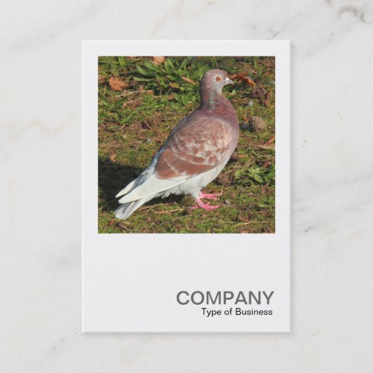 Square写真0551 – ピジョン 名刺 (正面)