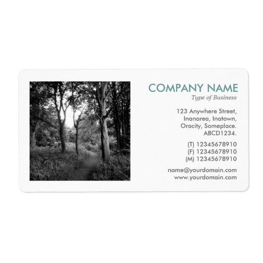 Square写真 – In the Woods ラベル (正面)