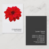 Square Photo 0160 - Dahlia, Bishop of Llandaff 名刺 (正面/裏面)