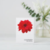 Square Photo 0160 - Dahlia, Bishop of Llandaff 名刺 (スタンド正面)