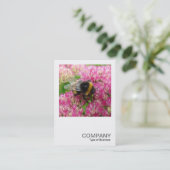 Square Photo 0342 – セダムののまわりに 名刺 (スタンド正面)