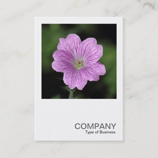 Square Photo 0406 - Geranium Endressii 名刺 (正面)