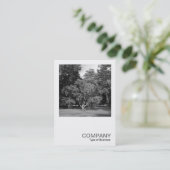 Square Photo 0413 – 木，ブートパーク，カーディフ 名刺 (スタンド正面)