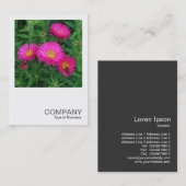 Square Photo 0493 – マイカエルマスデイジー02 名刺 (正面/裏面)