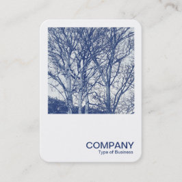 Square Photo 0591 – 冬の木 – シアノタイプ 名刺